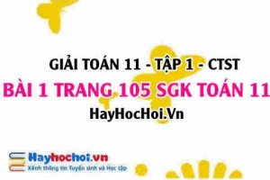 Giải bài 1 trang 105 Toán 11 tập 1 SGK Chân trời sáng tạo